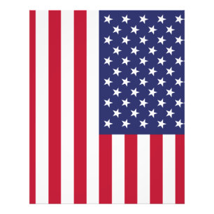 Foto Bandera de los Estados Unidos de América