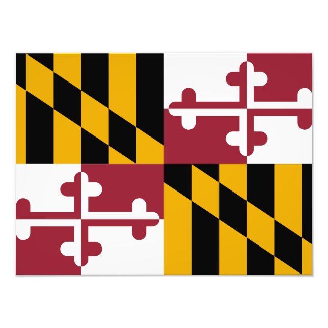 Foto Bandera de Maryland (Frente)
