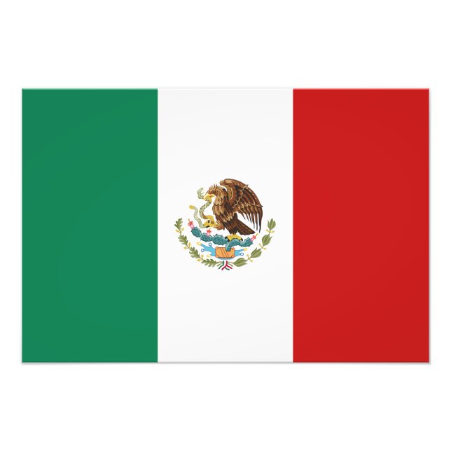 Foto Bandera de México (Frente)