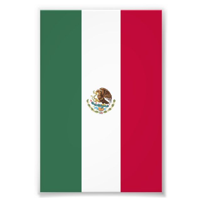 Foto Bandera de México (Frente)