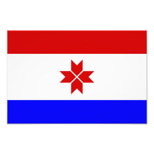 Foto Bandera de Mordovia