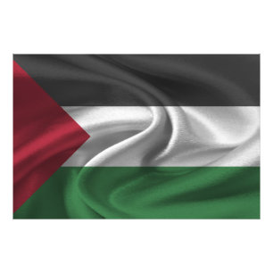 Foto Bandera de Palestina