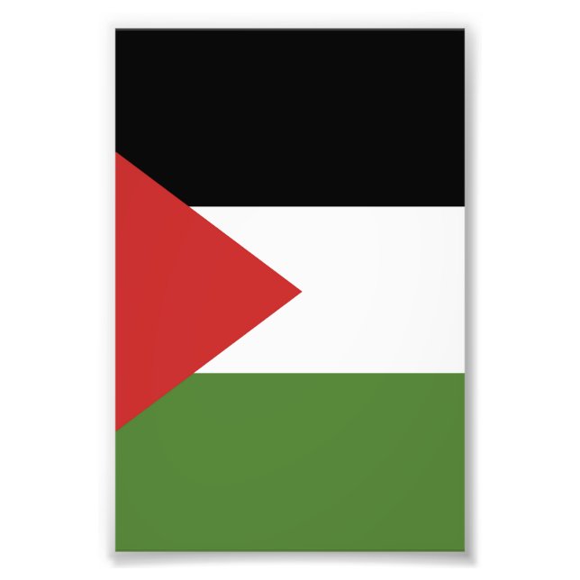Foto Bandera de Palestina (Frente)