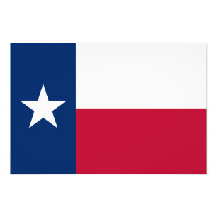 Foto Bandera de Texas: Longhorns, El Estado de la Estre
