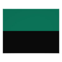 Bandera de Texel