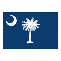 Bandera del Estado de Carolina del Sur