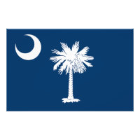 Bandera del Estado de Carolina del Sur