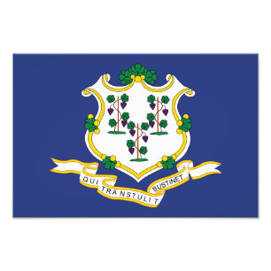 Foto Bandera del estado de Connecticut