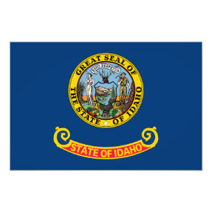Foto Bandera del estado de Idaho