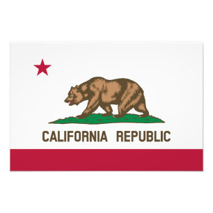 Foto Bandera del estado de la República de California