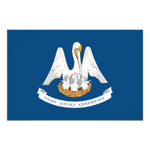 Foto Bandera del estado de Louisiana