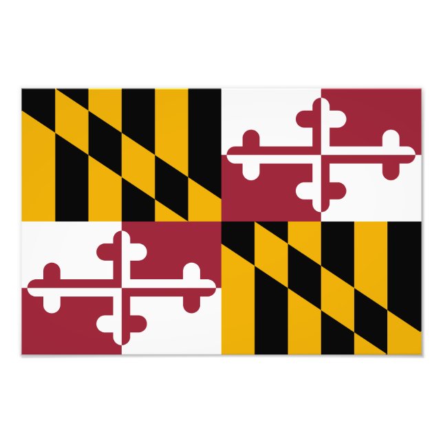 Foto Bandera del Estado de Maryland (Frente)