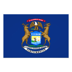 Foto Bandera del estado de Michigan