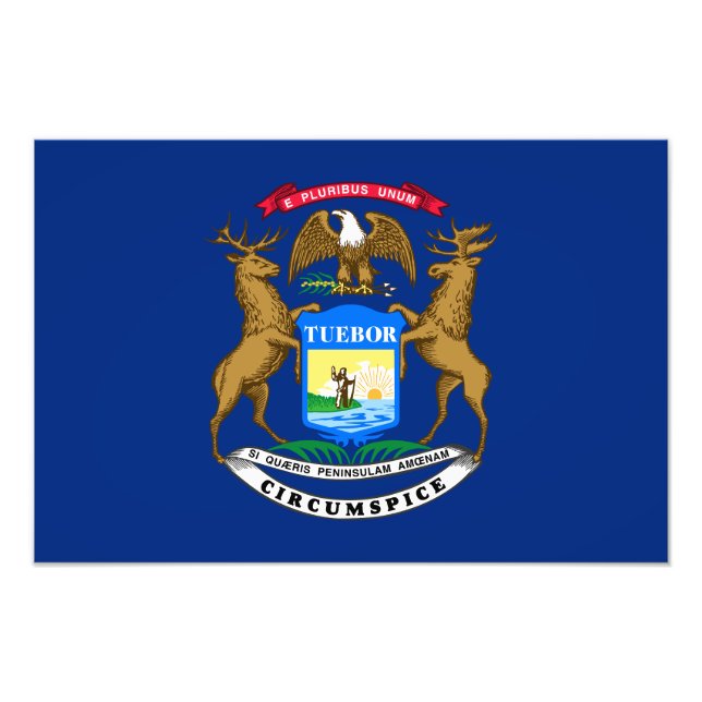 Foto Bandera del estado de Michigan (Frente)