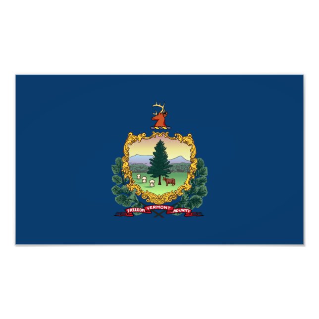Foto Bandera del Estado de Vermont (Frente)