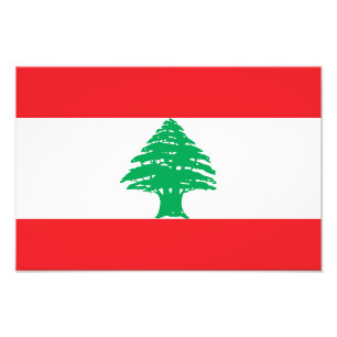 Foto Bandera del Líbano