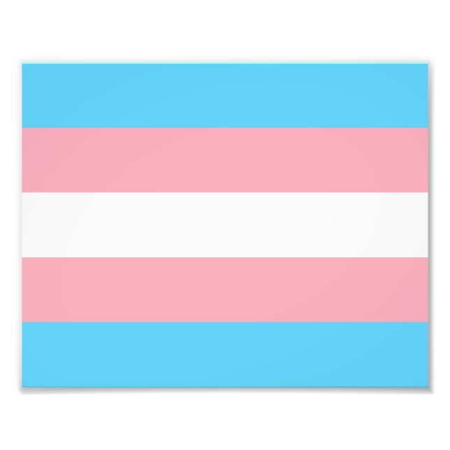 Foto Bandera del Orgullo Transgénero (Frente)
