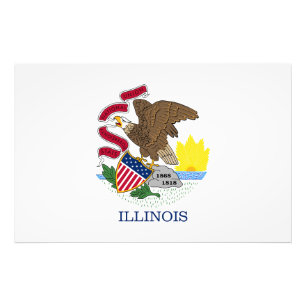 Foto Bandera Estatal de Illinois Estados Unidos