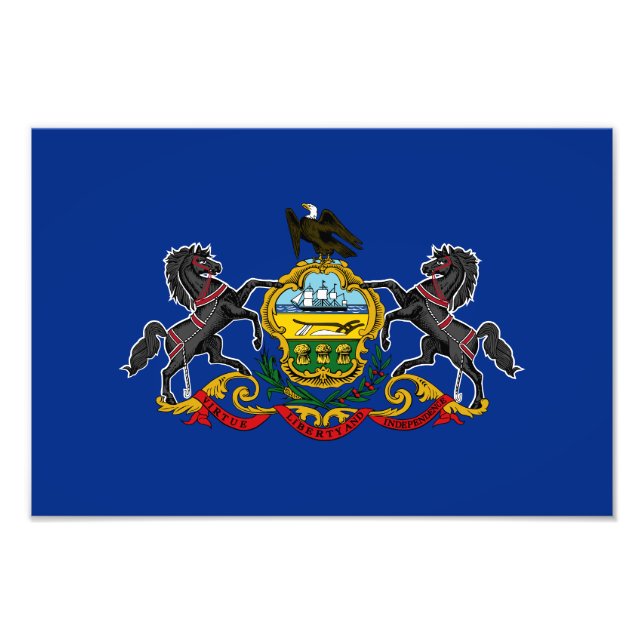 Foto Bandera Estatal de Pennsylvania (Frente)
