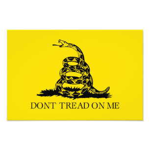 Foto Bandera Gadsden de serpiente de cascabel: Lucha, R