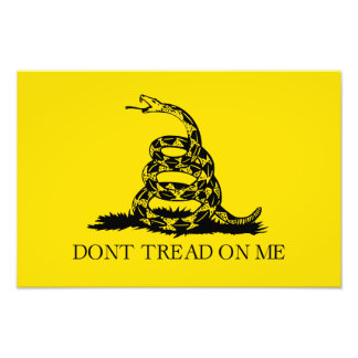 Foto Bandera Gadsden de serpiente de cascabel: Lucha, R