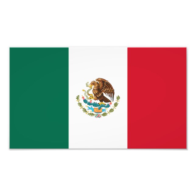 Foto Bandera Mexicana (Frente)