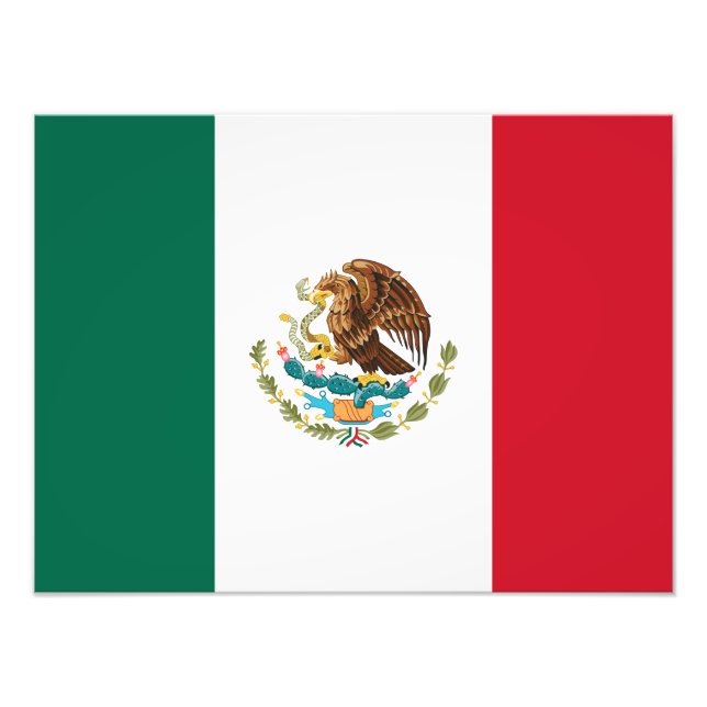 Foto Bandera mexicana - Bandera de México (Frente)