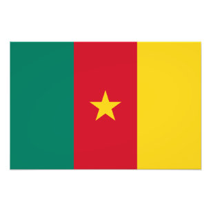 Foto Bandera patriótica de Camerún