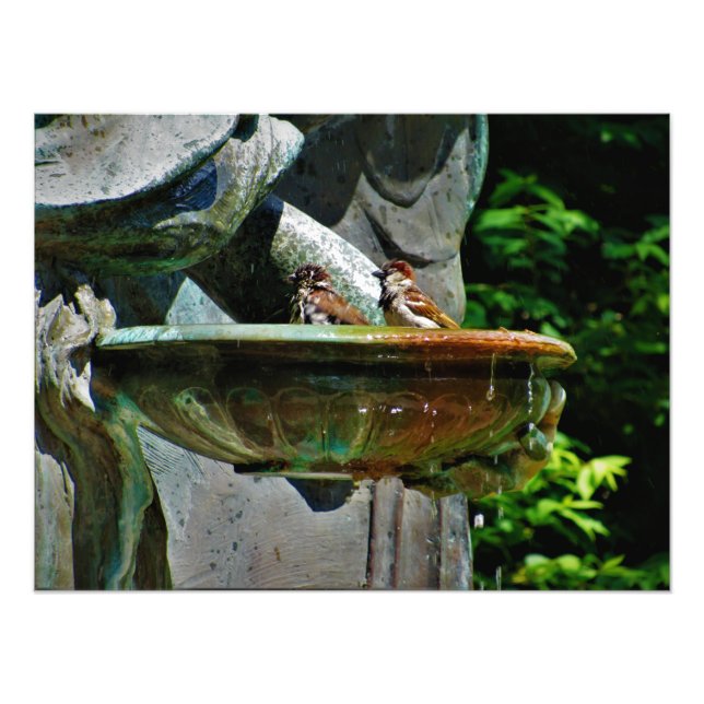 Foto "Baño Santo" (Frente)