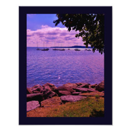 Foto Barcos del Lago Mendota