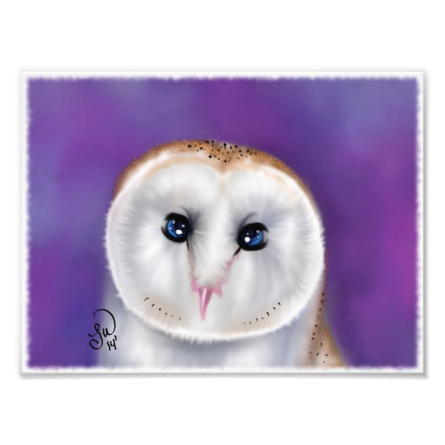 Foto barn ow (Frente)