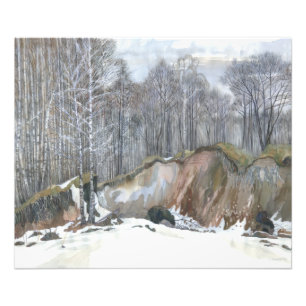 Foto Barranca de nieve