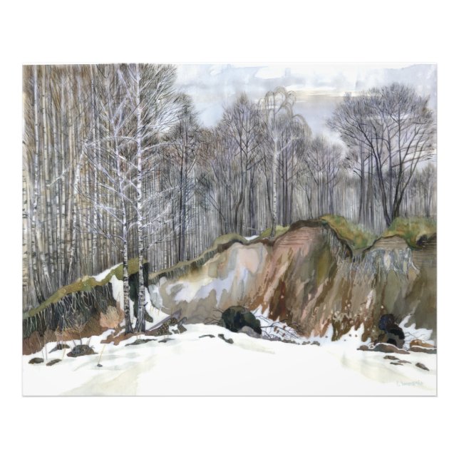 Foto Barranca de nieve (Frente)