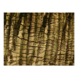 Foto Barrera de árbol de palmas