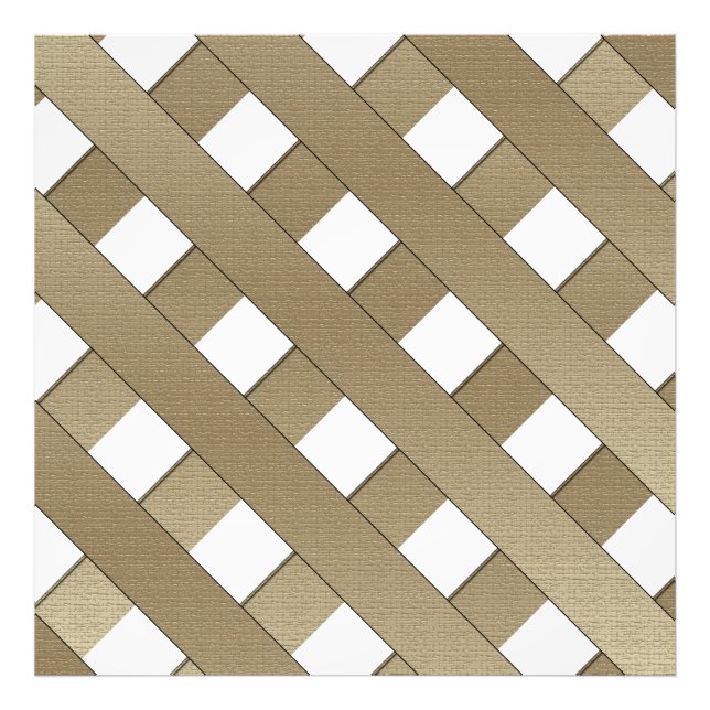 Foto Barrera de Entradas por Shirley Taylor (Frente)