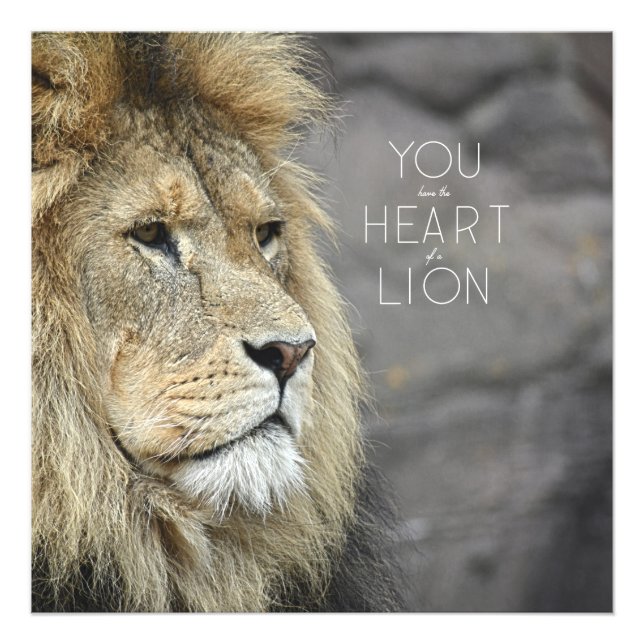 Foto Bastante Monarch #1 (24x24) (Frente)