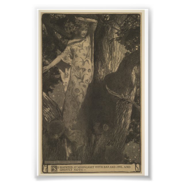 Foto Bat and Owl (Frente)