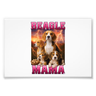 Foto Beagle