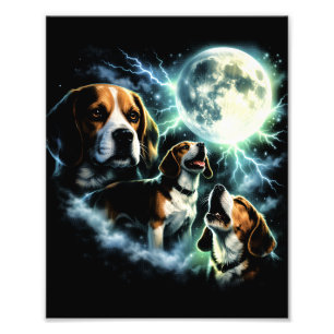 Foto Beagle Aullando a la Luna – Perro de Caza Nocturno