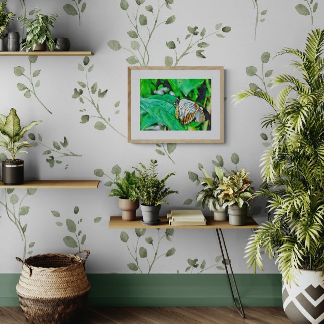 Foto Beautiful White and Brown Butterfly (Subido por el creador)