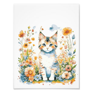 Foto Bebé gato lindo