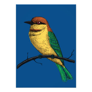 Foto Bee eater