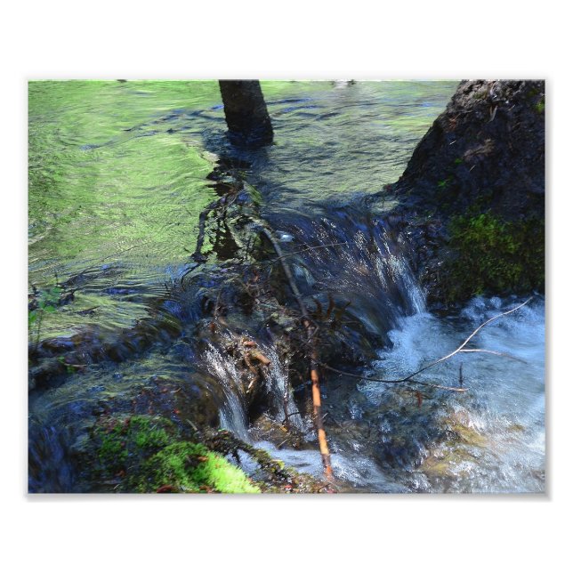 Foto Belleza aleatoria (Frente)