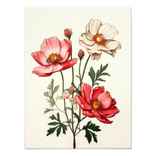 Foto Belleza Delicada: Flor rosa y blanca