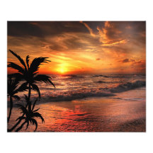 BELLEZA NATURAL DE LA PLAYA DEL ATARDECER