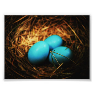 Foto Bellezas simples