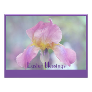 Foto Bendiciones de Pascua con Flor de iris rosa y mora