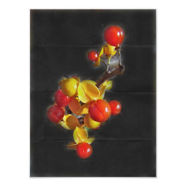 Foto Berias agridulces - Belleza de otoño (Frente)