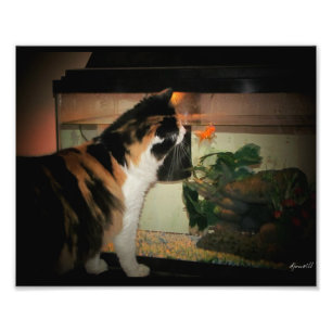 Foto Beso de burbujas