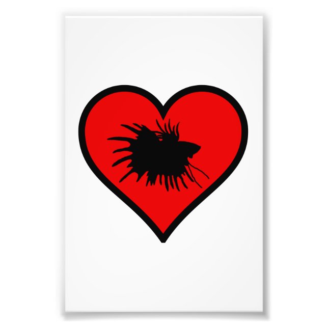 Foto Betta Heart Love Fish Silhouette (Frente)
